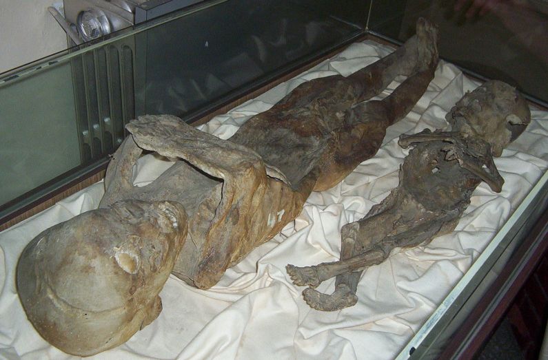 arkeoljik müzede çocuk mumyası