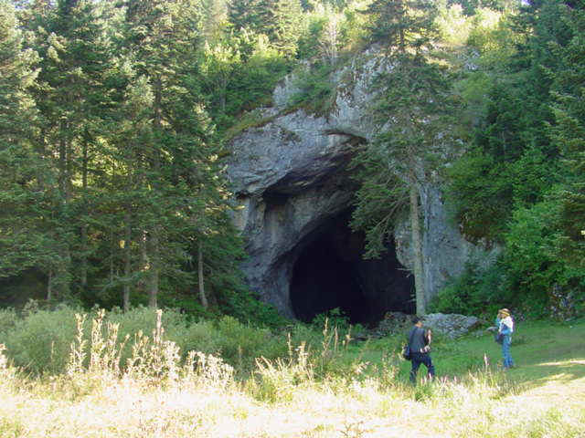 ormanlık alanda karain mağarası